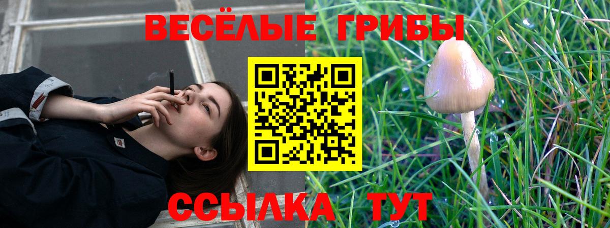 Псилоцибиновые грибы Cubensis  Вход с VPN  Наро-Фоминск 